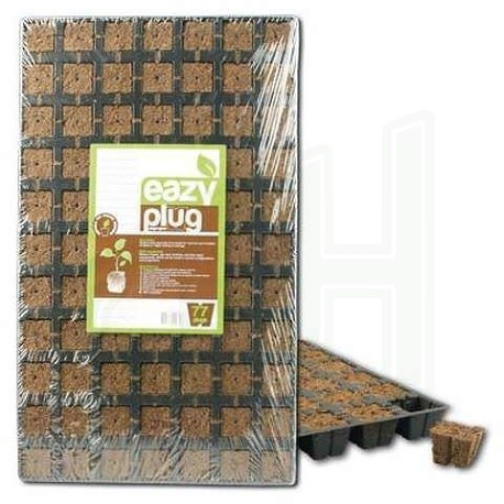 Eazy Plug, Anzuchtwürfel 35 x 35 x 30 mm, (Tray à 77 Stk.)