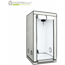 Homebox Ambient Q80